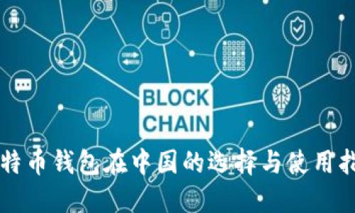比特币钱包在中国的选择与使用指南