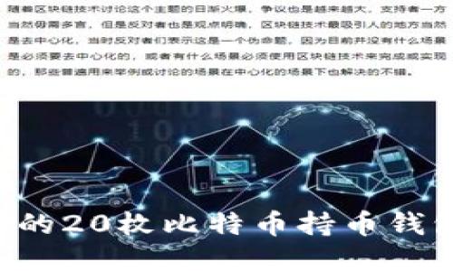 如何安全管理您的20枚比特币持币钱包地址：全面指南