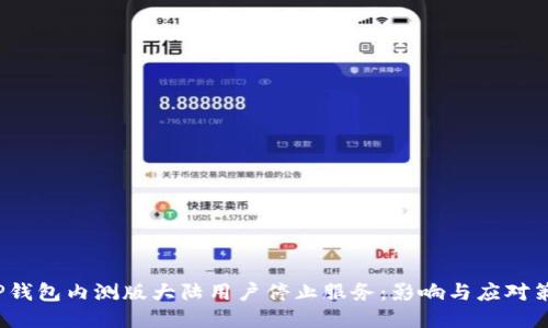  TP钱包内测版大陆用户停止服务：影响与应对策略