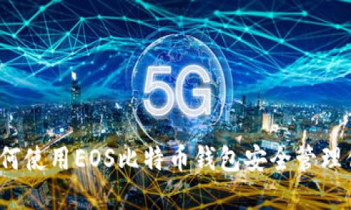 新手指南：如何使用EOS比特币钱包安全管理你的数字资产