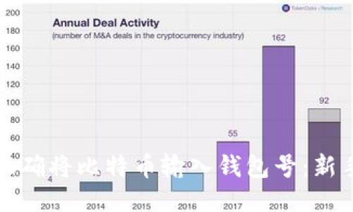 如何正确将比特币输入钱包号：新手指南