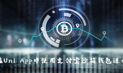 如何在Uni App中使用支付宝沙箱钱包进行测试