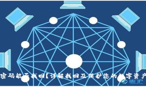 比特币钱包密码能否找回？详解找回及保护您的数字资产的最佳实践