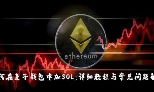 如何在麦子钱包中加SOL：详细教程与常见问题解答