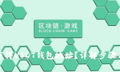 如何快速获得USDT钱包地址？详解步骤与注意事项