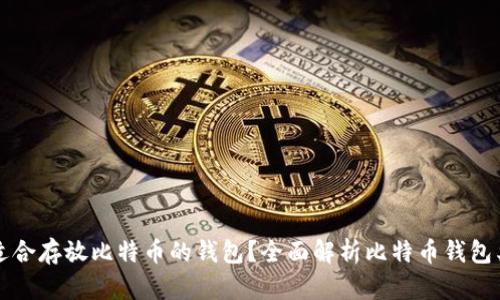 如何选择适合存放比特币的钱包？全面解析比特币钱包类型与功能