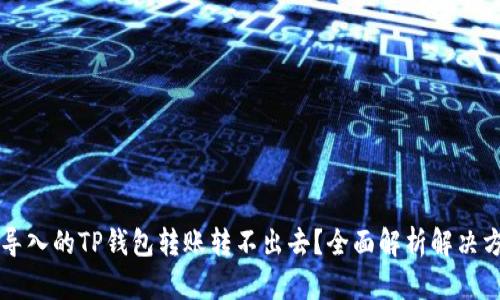 新导入的TP钱包转账转不出去？全面解析解决方案