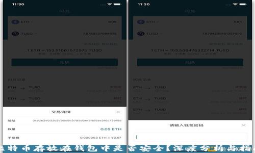 
比特币存放在钱包中是否安全？深度分析与指南