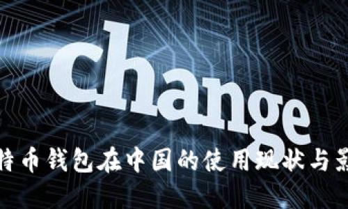 比特币钱包在中国的使用现状与影响