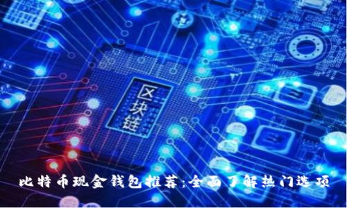 比特币现金钱包推荐：全面了解热门选项