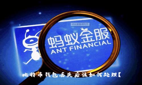 比特币钱包丢失后该如何处理？