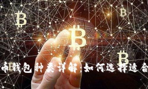 常见比特币钱包种类详解：如何选择适合你的钱包