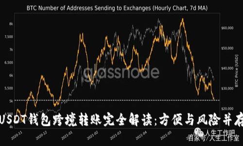 USDT钱包跨境转账完全解读：方便与风险并存