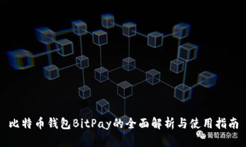 比特币钱包BitPay的全面解析与使用指南