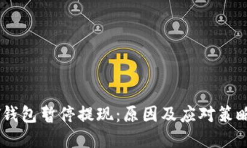 USDT钱包暂停提现：原因及应对策略详解