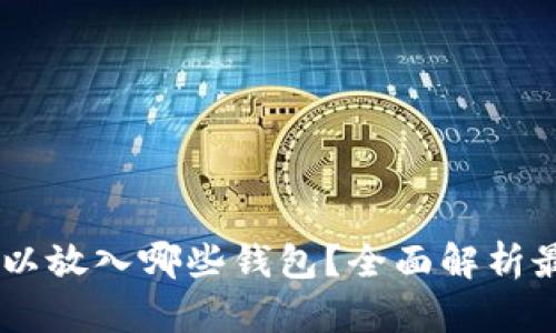 USDT可以放入哪些钱包？全面解析最优选择