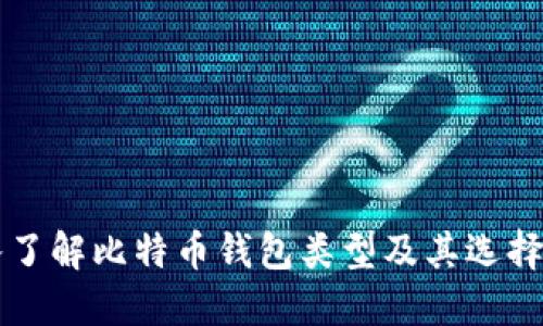 深入了解比特币钱包类型及其选择指南