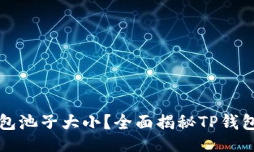的
什么是TP钱包池子大小？全面揭秘TP钱包的核心功能