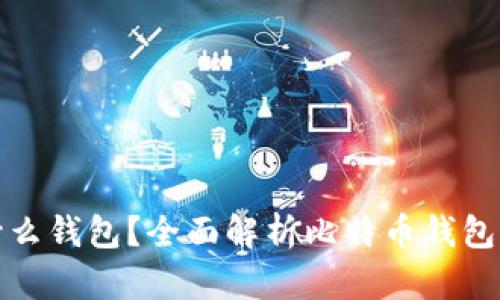 买比特币后放什么钱包？全面解析比特币钱包的选择与安全性