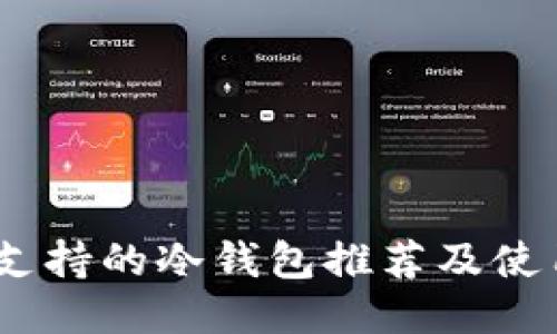 USDT支持的冷钱包推荐及使用指南