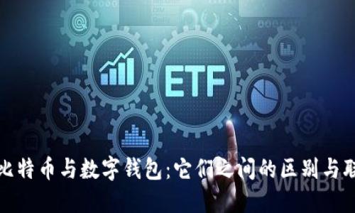 : 比特币与数字钱包：它们之间的区别与联系