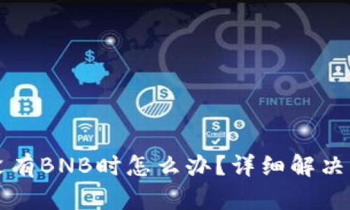 TP钱包没有BNB时怎么办？详细解决方案指南
