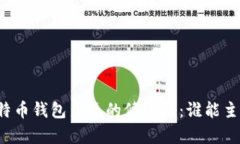 比特币钱包系统的修改权