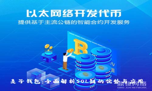 麦子钱包：全面解析SOL链的优势与应用