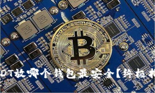 USDT放哪个钱包最安全？终极指南