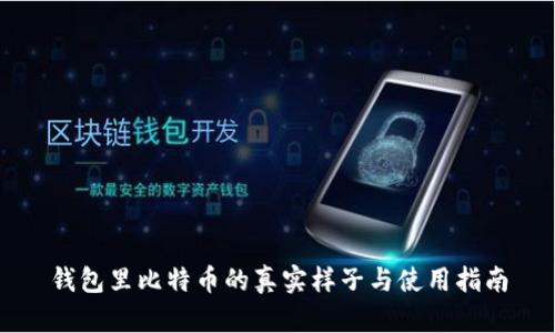 钱包里比特币的真实样子与使用指南