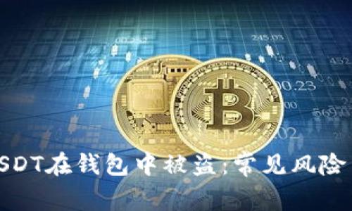 如何防止USDT在钱包中被盗：常见风险与防护措施
