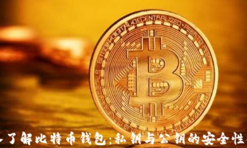 
深入了解比特币钱包：私钥与公钥的安全性解析