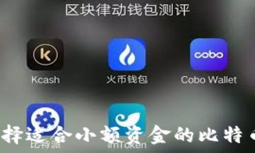   
如何选择适合小额资金的比特币钱包？