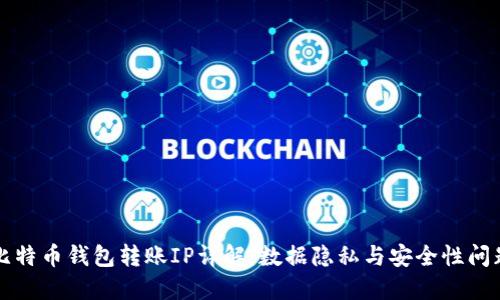 比特币钱包转账IP详解：数据隐私与安全性问题