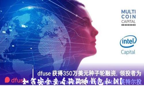 
如何安全查看狗狗币钱包私钥？