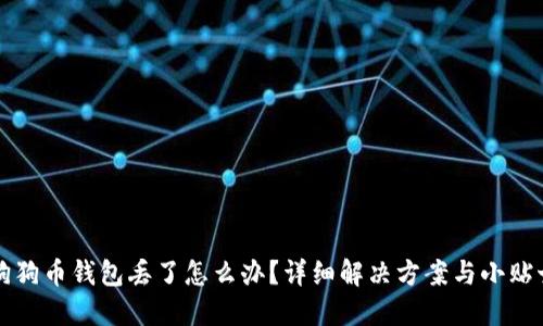 狗狗币钱包丢了怎么办？详细解决方案与小贴士
