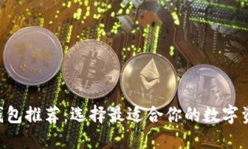 XRP虚拟币钱包推荐：选择最适合你的数字资产保护工具