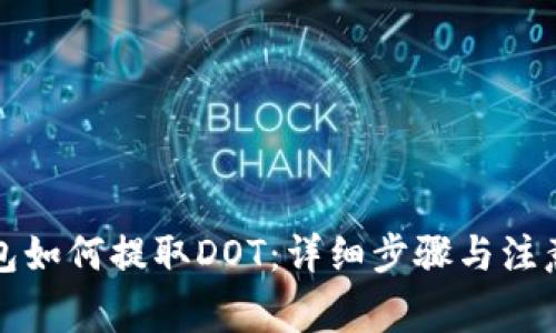 TP钱包如何提取DOT：详细步骤与注意事项