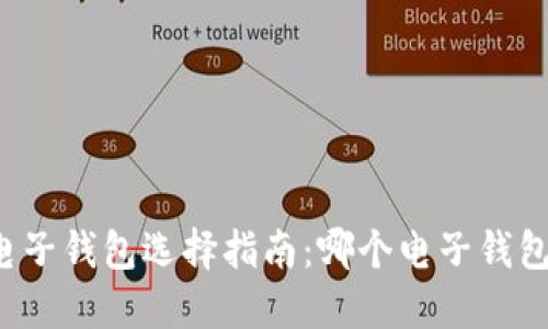 比特币电子钱包选择指南：哪个电子钱包最好用？
