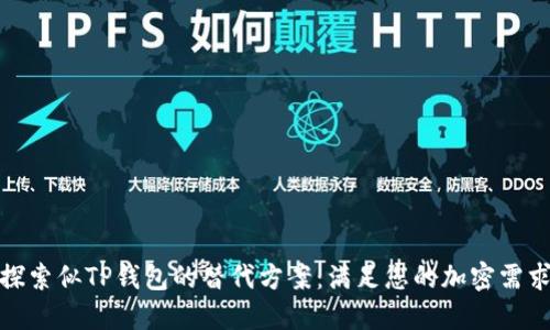 探索似TP钱包的替代方案：满足您的加密需求
