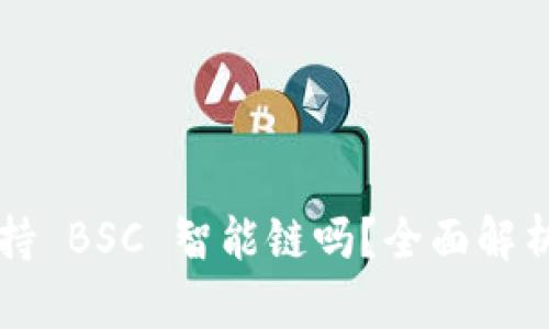 T P 钱包支持 BSC 智能链吗？全面解析与实用指南