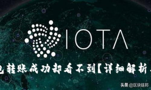 为何TP钱包转账成功却看不到？详细解析与解决方案