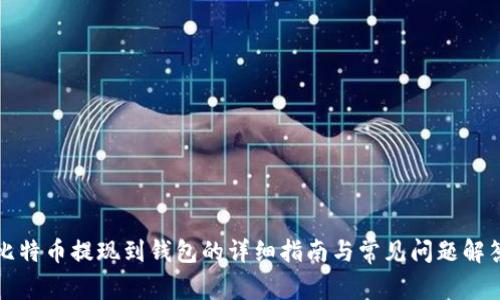 比特币提现到钱包的详细指南与常见问题解答