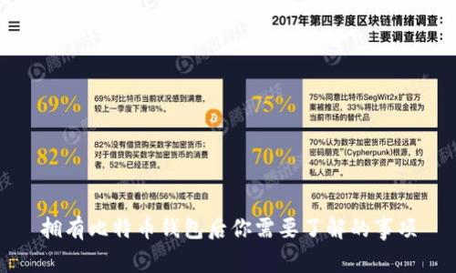 拥有比特币钱包后你需要了解的事项