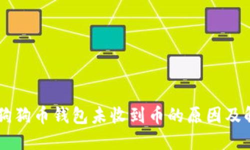 手机版狗狗币钱包未收到币的原因及解决方法