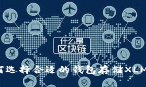 如何选择合适的钱包存储XLM币？