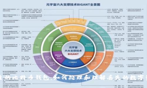 无主的比特币钱包：如何处理和理解丢失的数字资产
