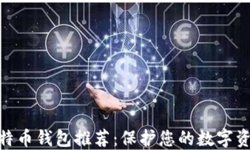 
最安全的比特币钱包推荐：保护您的数字资产免受风险