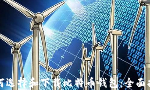 
如何选择和下载比特币钱包：全面指南