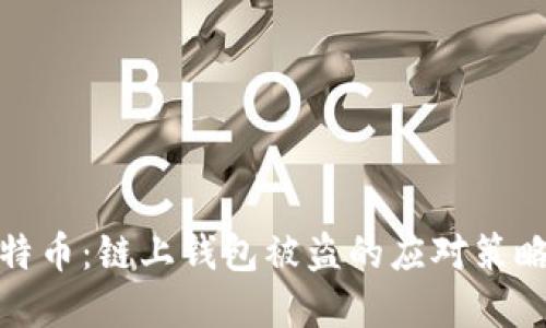 保护你的比特币：链上钱包被盗的应对策略与防范措施